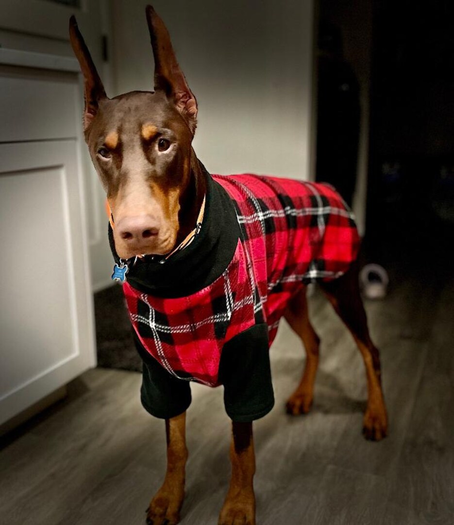 Plaid Fleece Red Buffalo Plaid Dog Pajamas Dark Red And Black
